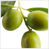 Olives